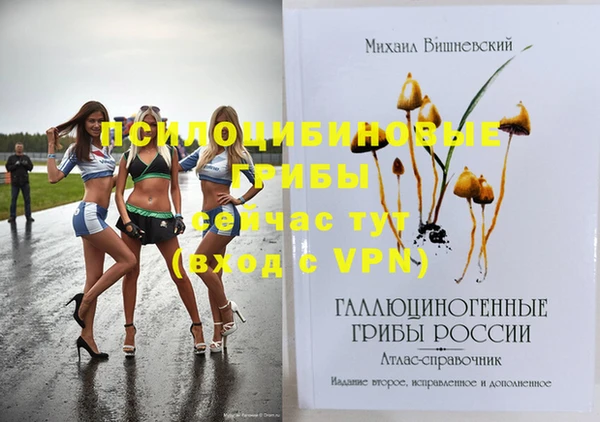 мдпв Лиски