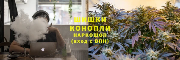 ГАЛЛЮЦИНОГЕННЫЕ ГРИБЫ Липки