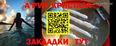 винт Донецк