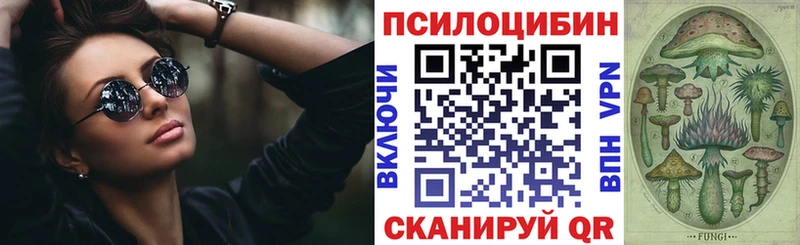 Галлюциногенные грибы Psilocybe  Малгобек 