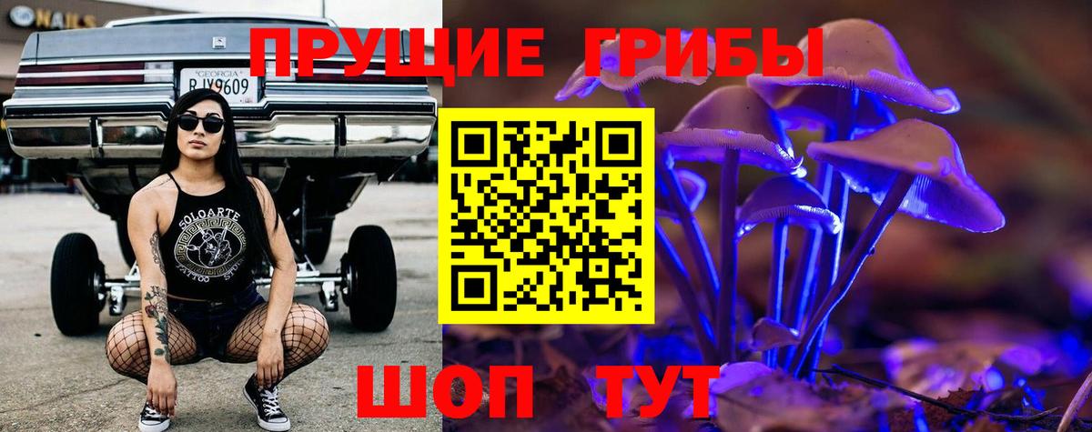Галлюциногенные грибы Psilocybine cubensis  Галлюциногенные грибы GOLDEN TEACHER  Вход с VPN  Малгобек 